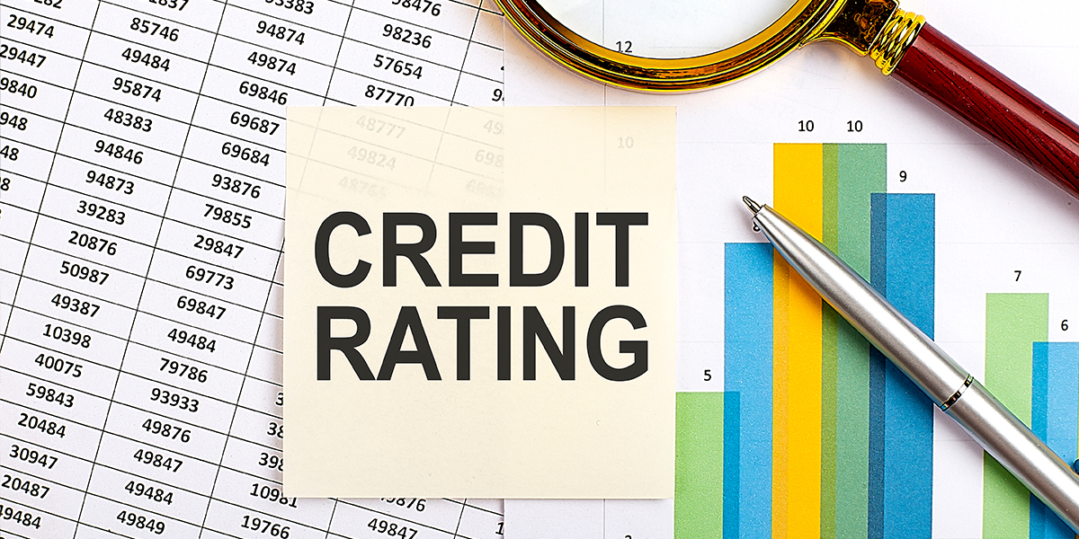 Beyond the Balance Sheet: What Really Controls Your Business Credit Score