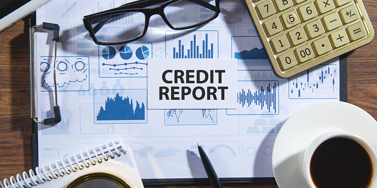 Decoding the DNA of Your Business: What Your Credit Report Really Means